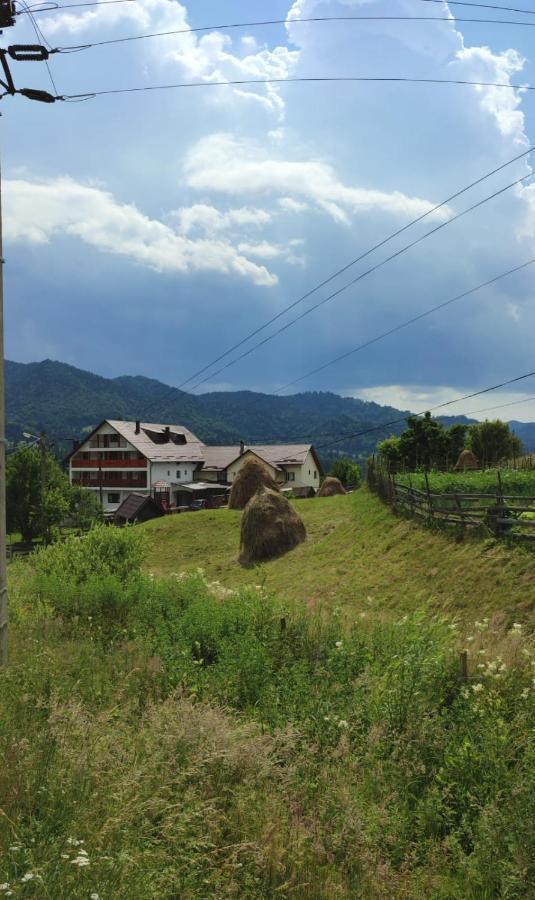 Casa De Vacanta Perla Colibitei Colibiţa Exterior foto
